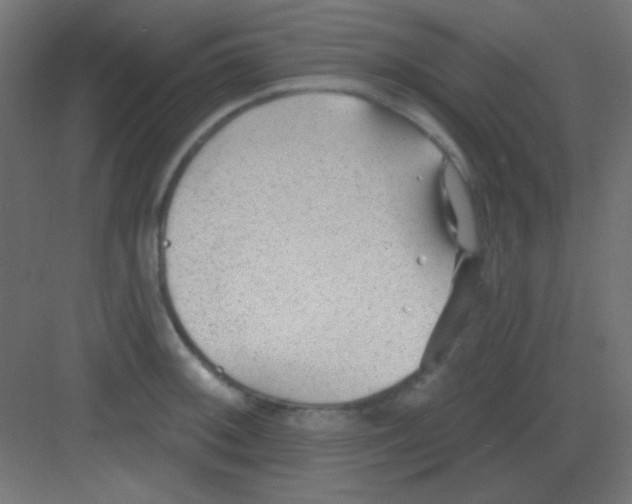 X0000081401092200702090057