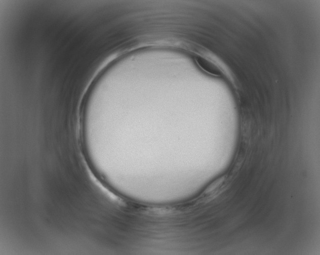 X0000081401095200702090057