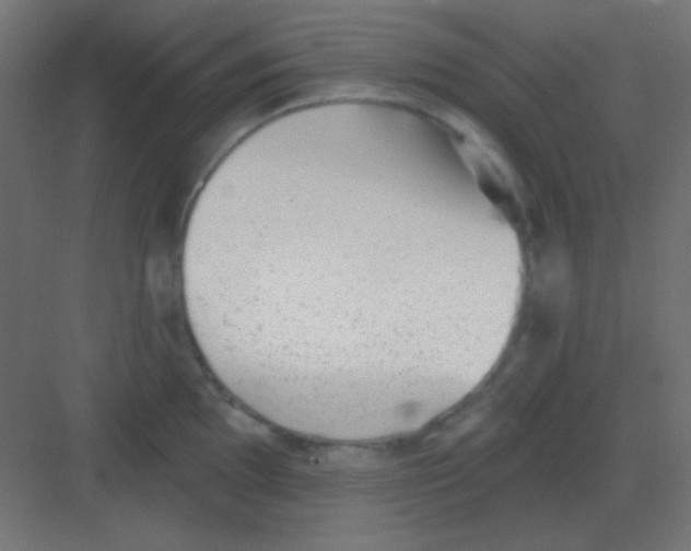 X0000081401097200702090057