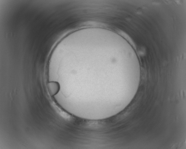 X0000081401098200702090057