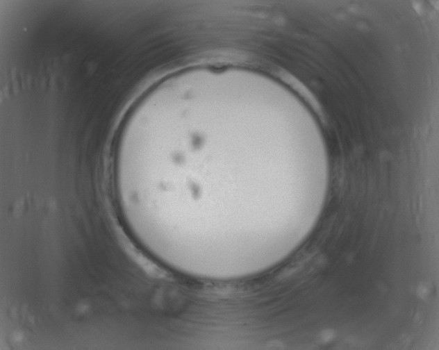 X0000081401099200702090057