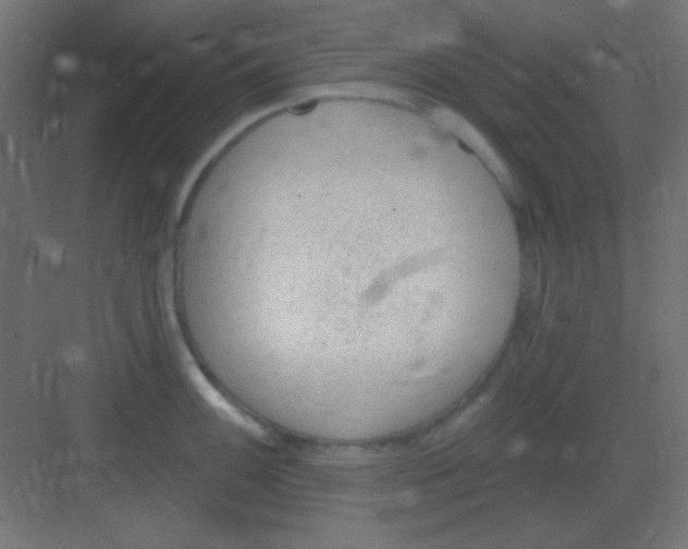 X0000081401100200702090057