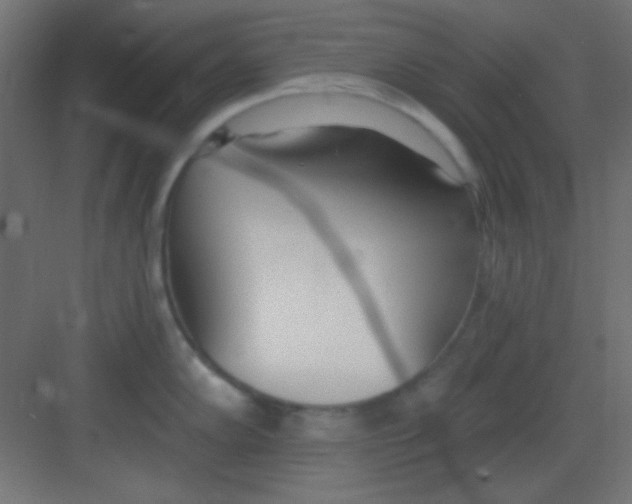 X0000081401102200702090057