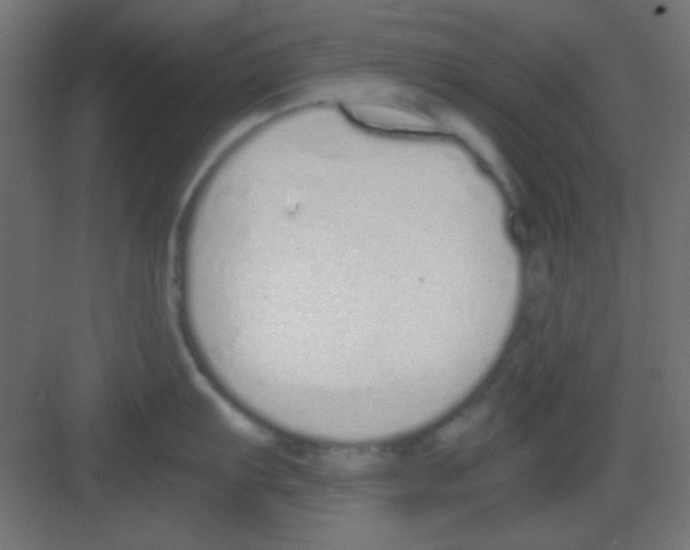 X0000081401103200702090057