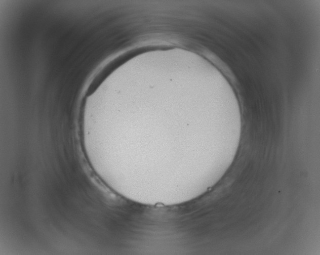 X0000081401104200702090057