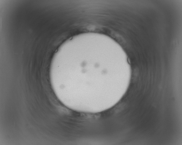 X0000081401105200702090056