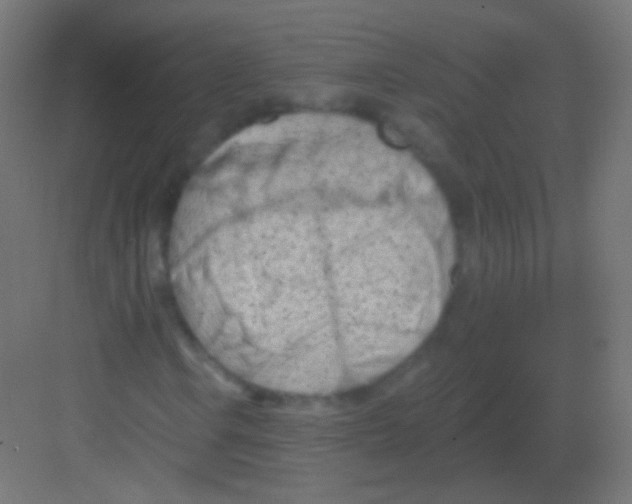 X0000081401106200702090056