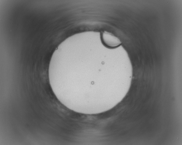 X0000081401109200702090056