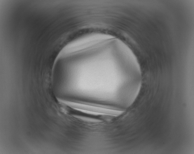 X0000081401110200702090056