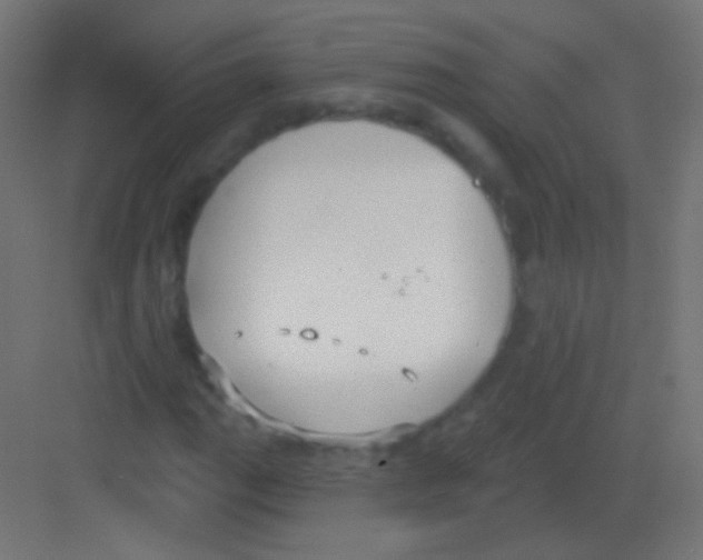 X0000081401111200702090056