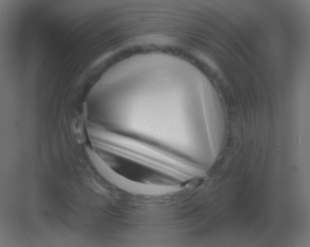 X0000081401112200702090056