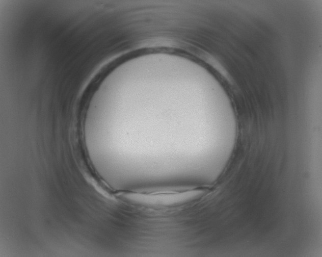 X0000081401116200702090056