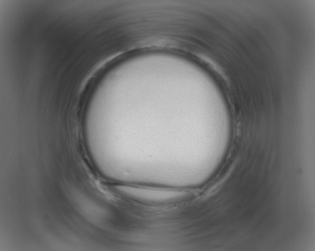 X0000081401117200702090056