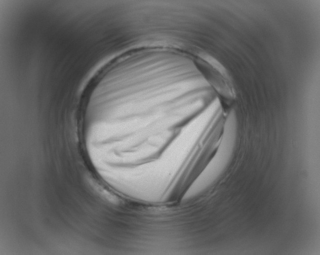 X0000081401120200702090056