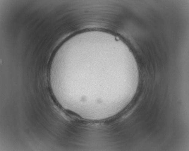 X0000081401121200702090056