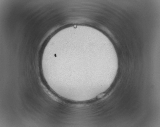 X0000081401122200702090056