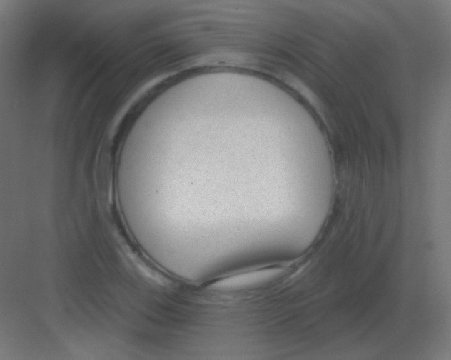 X0000081401123200702090056