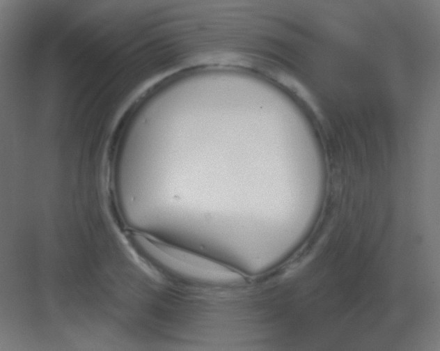 X0000081401125200702090057