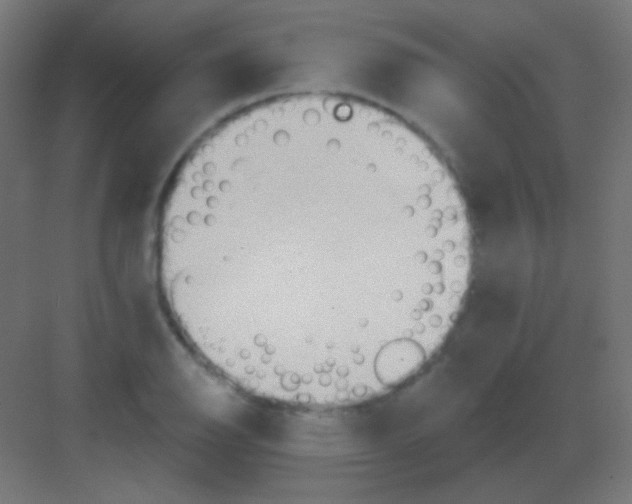 X0000081401126200702090057