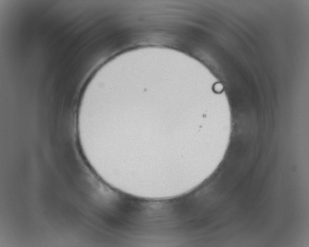 X0000081401130200702090057