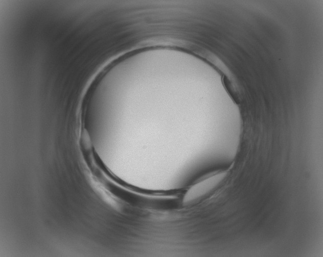 X0000081401132200702090057