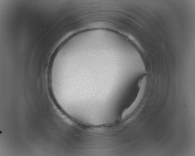 X0000081401134200702090057