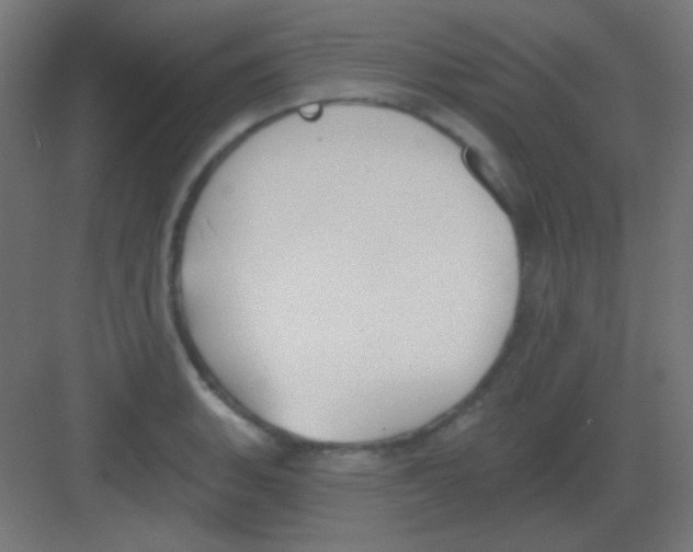 X0000081401135200702090057