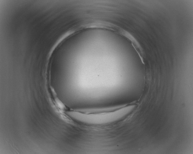 X0000081401138200702090057