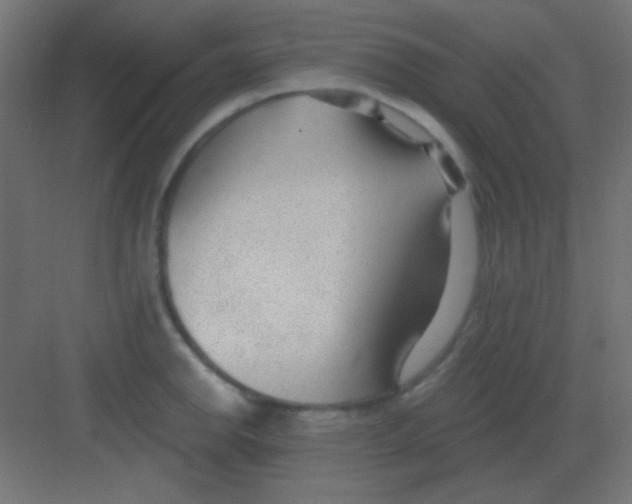 X0000081401142200702090057