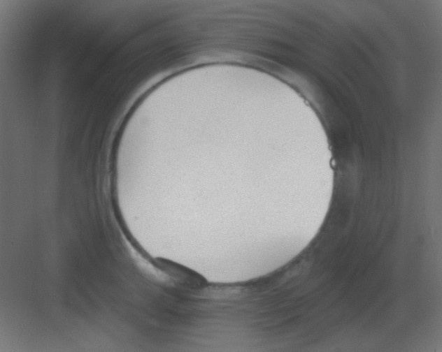 X0000081401143200702090057