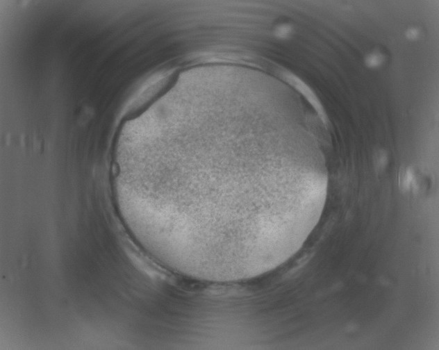 X0000081401146200702090057