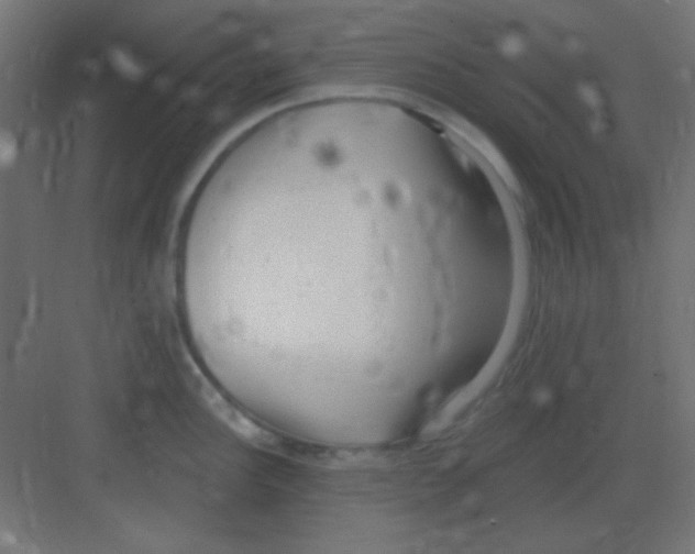 X0000081401148200702090057