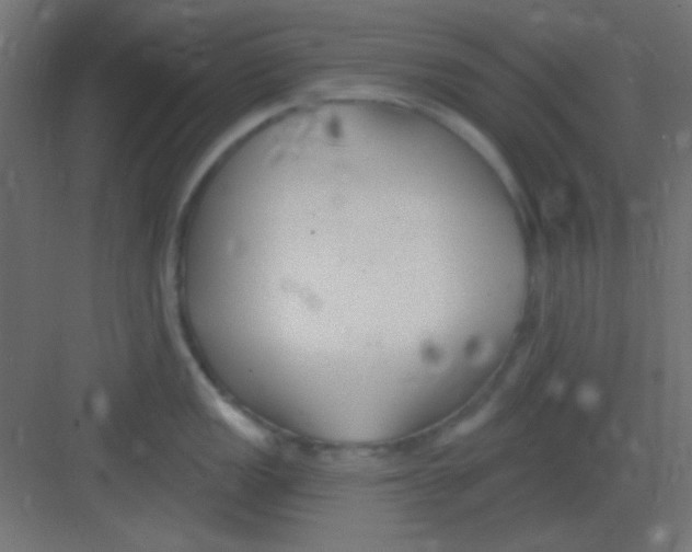 X0000081401149200702090057