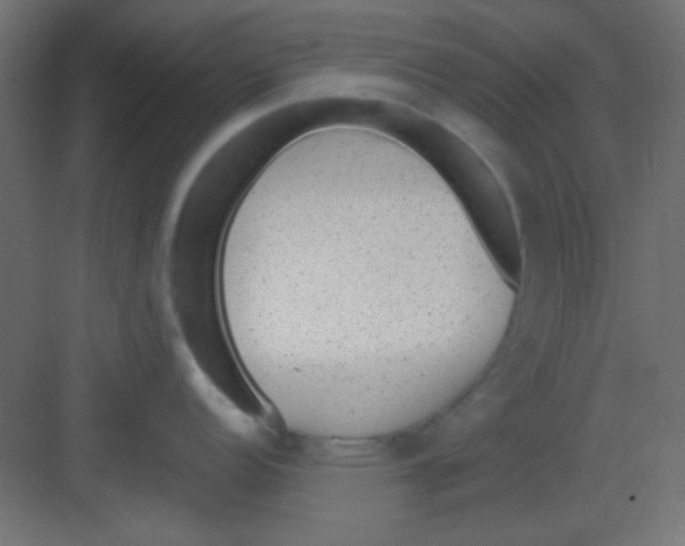 X0000081401152200702090057