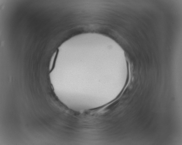 X0000081401153200702090056