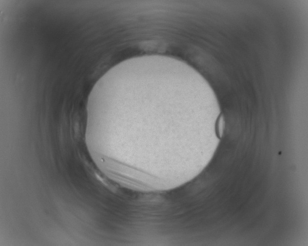 X0000081401154200702090056