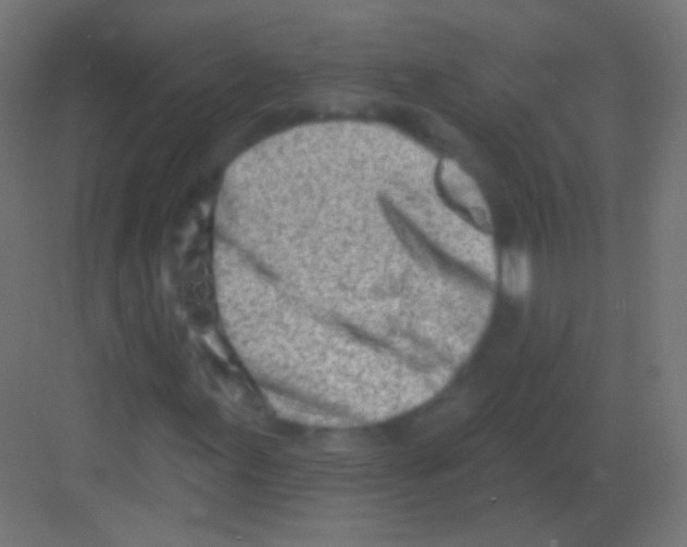 X0000081401155200702090056