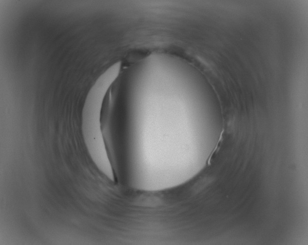 X0000081401156200702090056