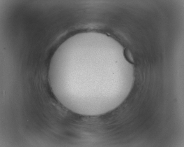 X0000081401158200702090056