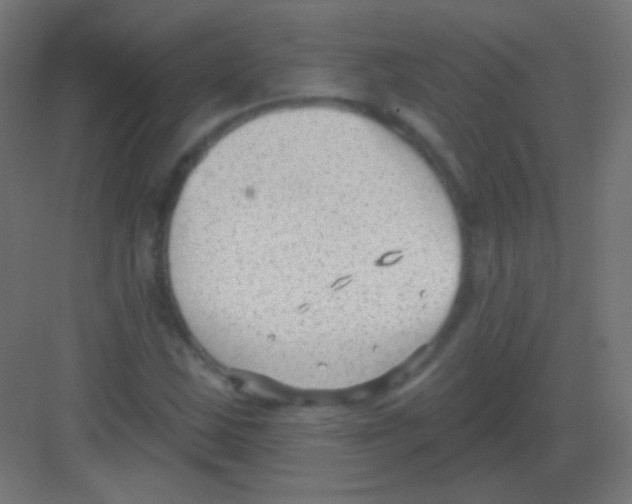 X0000081401163200702090056