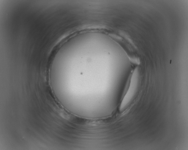 X0000081401165200702090056