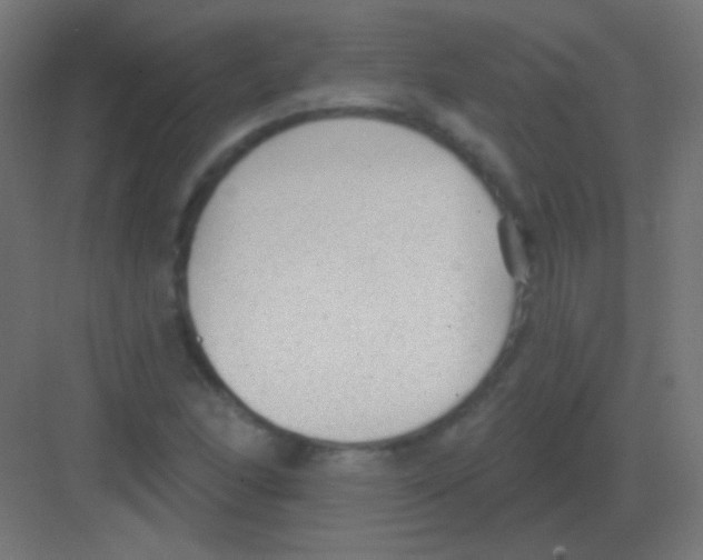 X0000081401166200702090056