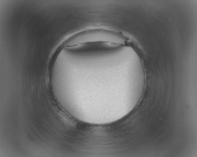 X0000081401167200702090056