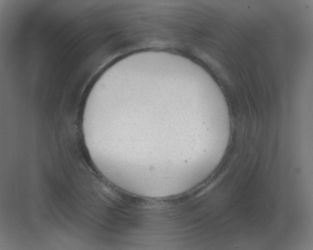 X0000081401170200702090056