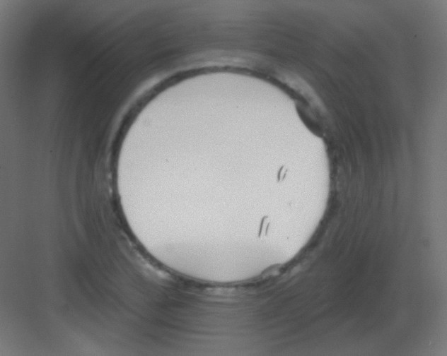 X0000081401172200702090056