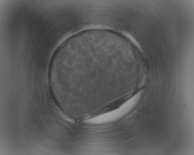 X0000081401173200702090056