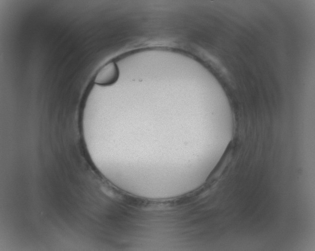 X0000081401174200702090056