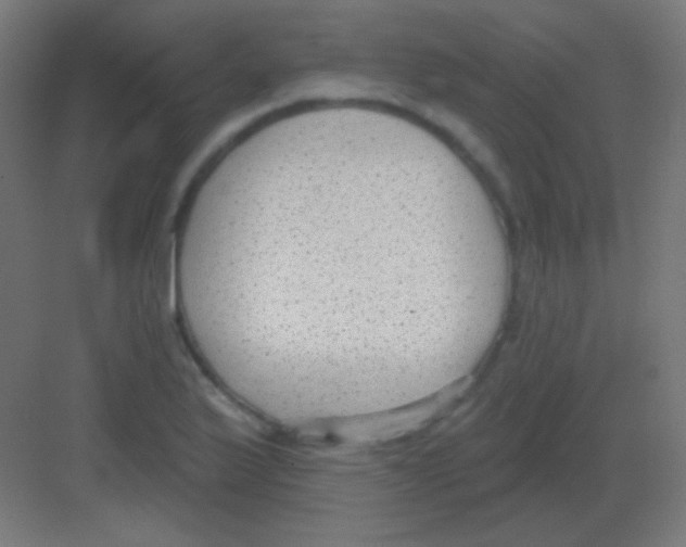 X0000081401175200702090056