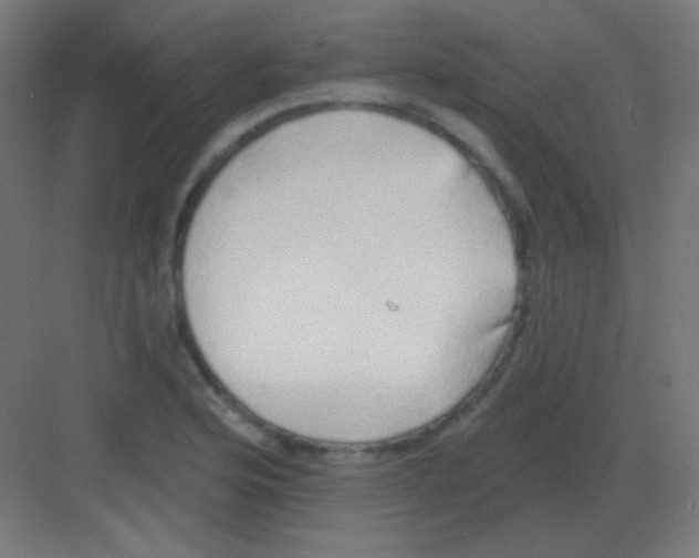 X0000081401176200702090056