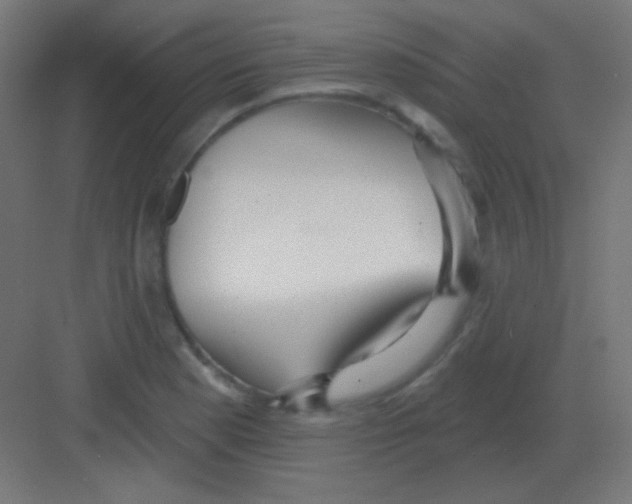 X0000081401177200702090056